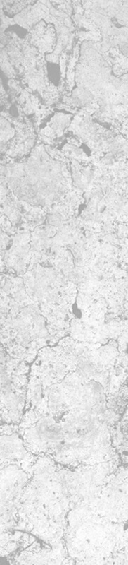 Auscorp Tiling Services | Residential & Commercial Tiling Services Sydney